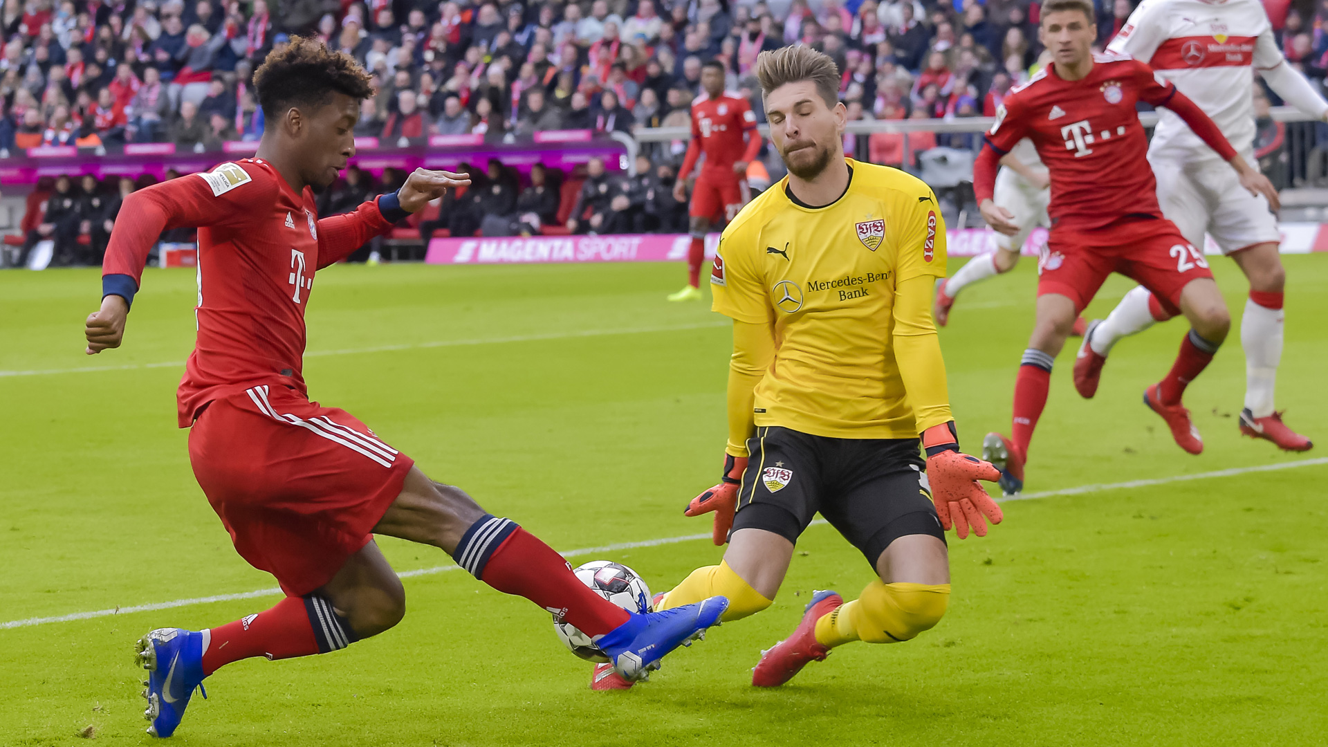 热烈庆祝公司网站建设成功